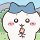 ハチワレ1回