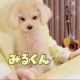 みるくん１回！