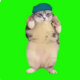 猫ミーム