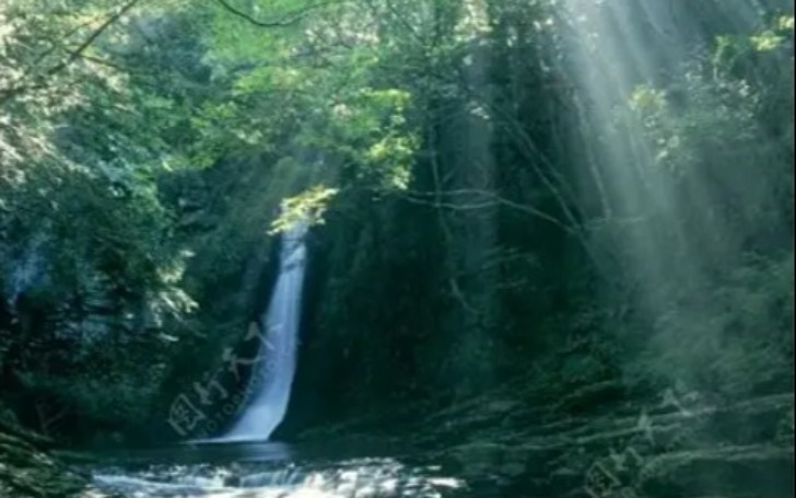 背景
