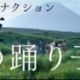 夜の踊り子