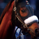 競馬