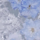恋　泥　棒　。