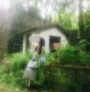 背景