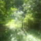 ケダモノのフレンズ:P