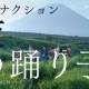 夜の踊り子（サビだけ）