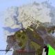 Minecraftやってたらひかれる技