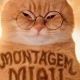 Montagem miau 和訳なし