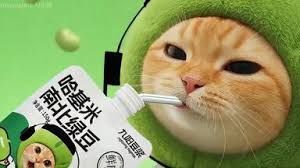 背景