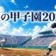 高校野球夏の甲子園2026年タイピングゥ