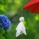 梅雨を一回！