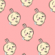 うさぎ（うさD）一回