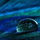 自分の友だちの日記