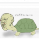 かめ