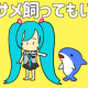 このサメ飼ってもいい？［１番のみ］