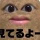 芋一回だけ