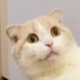１００００００％最下位になっちゃう！？
