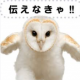 えっほえっほえっほえっほ