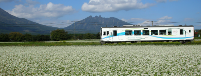 背景