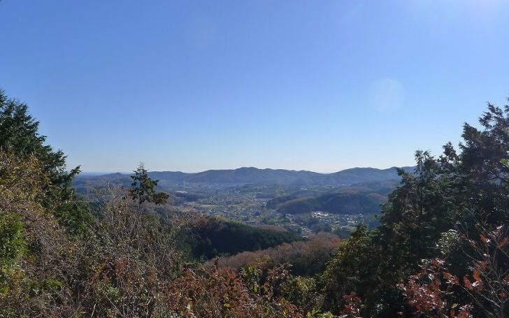 背景