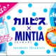 ミンティア