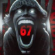 ６７