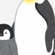 ペンギンタイピング