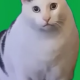 ７を６７回打つ