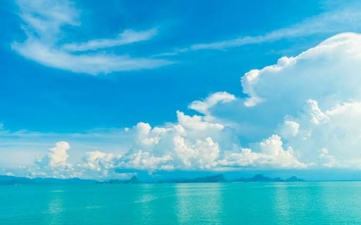 背景