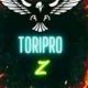 toriproZ内戦