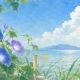 夏の風物詩