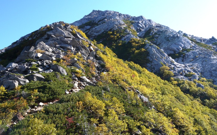 背景