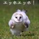 ワールドカップタイピング