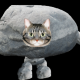 ネコロック１回