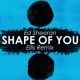 SHAPE OF YOU　和訳歌詞