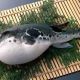 ふぐ打