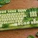 チンｇンサイ1回