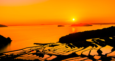 背景