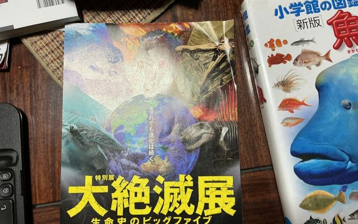 背景