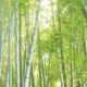 竹取物語の一部タイピング
