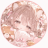 投稿者