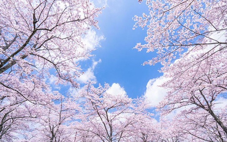 背景