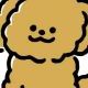 ワンコ連打