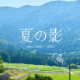 夏の影　サビだけ