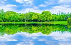 背景