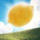 H２H　Lemon Tang日本語版