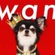 wan／M!LK