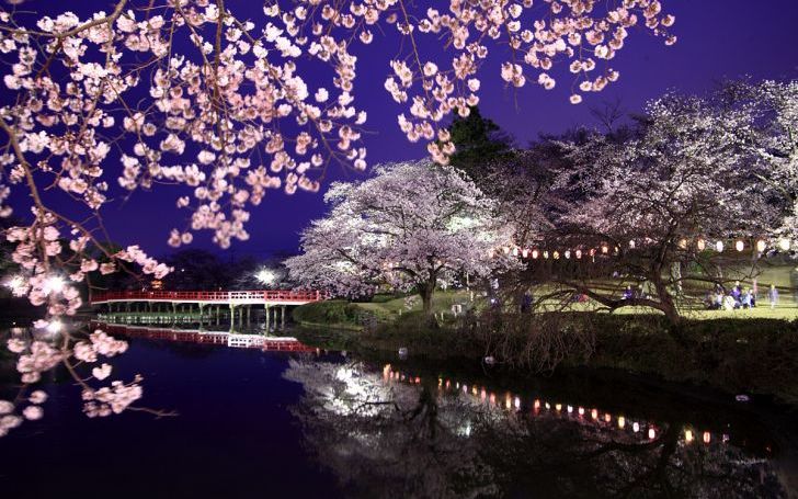 夜桜お七 | タイピング練習の「マイタイピング」