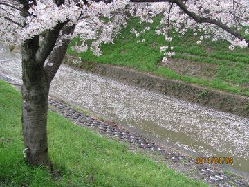 背景