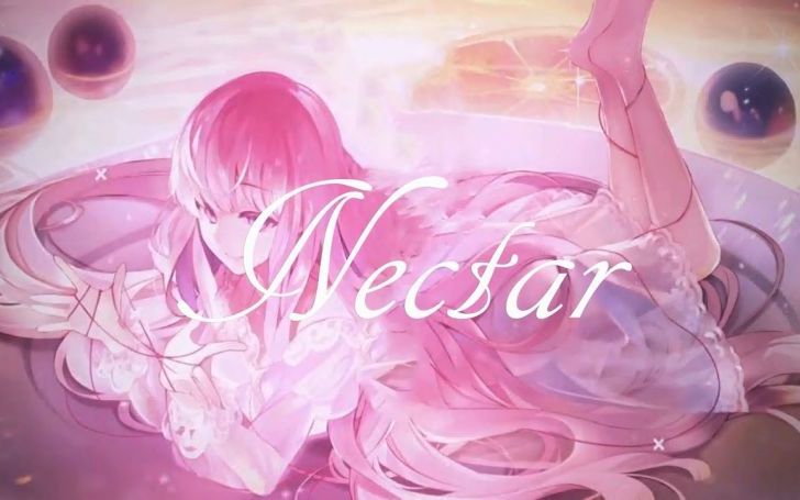 Nectar タイピング練習の マイタイピング